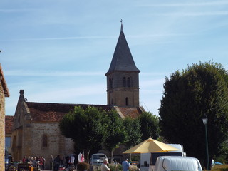 nature sun and animals