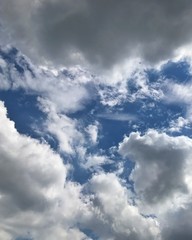 Obraz premium 青空と雲