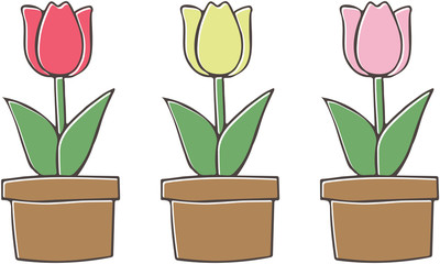 チューリップのイラスト