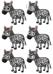 Fototapeta na wymiar Zebra with different expressions