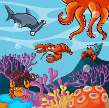 Sea animals under the ocean