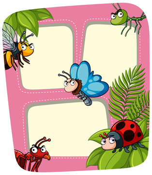 Border template with many insects