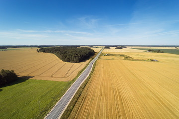 Fototapeta na wymiar Late summer in latvian countryside, Semigallia region.