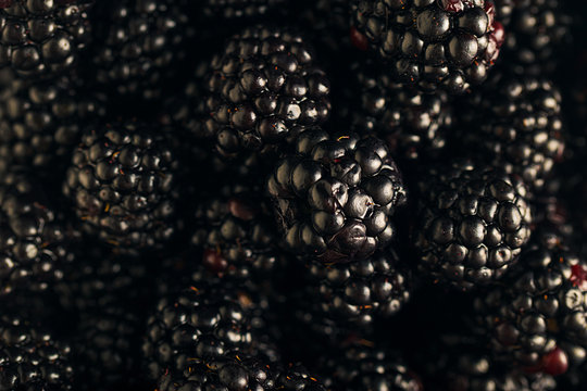 blackberries mix macro dark photo