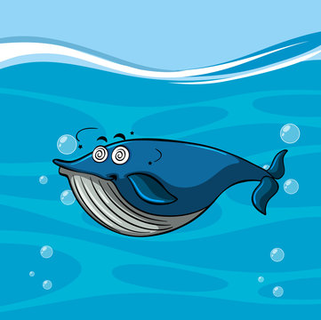 Blue whale with dizzy face in the sea