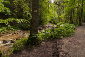 Tatry, Zakopane, Mountains, Poland