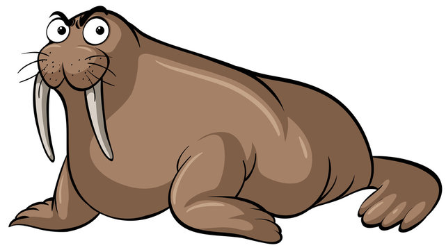 Walrus Clip Art Images – Browse 1,553 Stock Photos, Vectors, and Video |  Adobe Stock