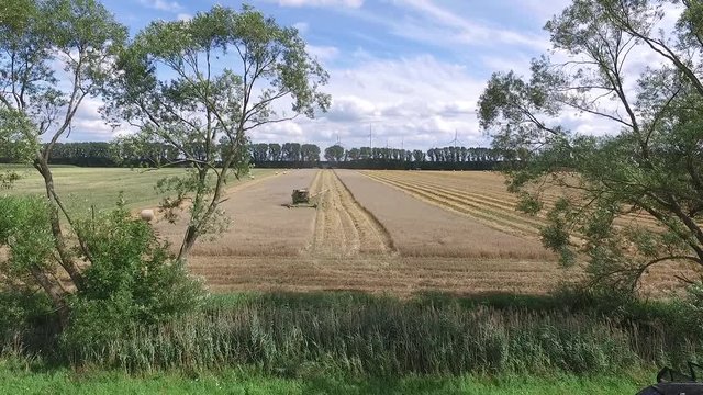 Geld Bargeld M&uuml;nzen und Scheine