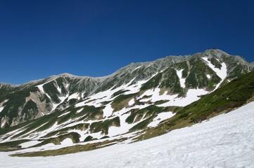 立山の緑、残雪、稜線