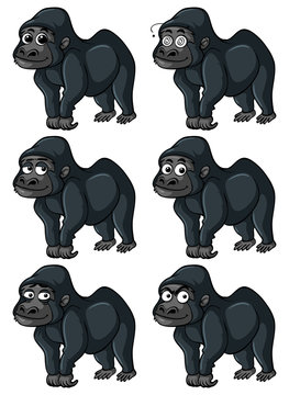 Gorilla with different emotions