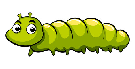 Green caterpillar on white background