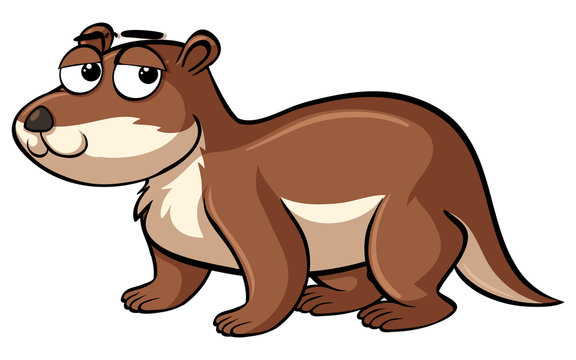 Beaver with sad eyes
