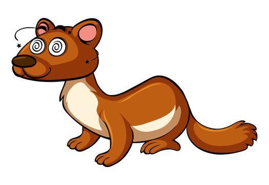 Mongoose with dizzy face