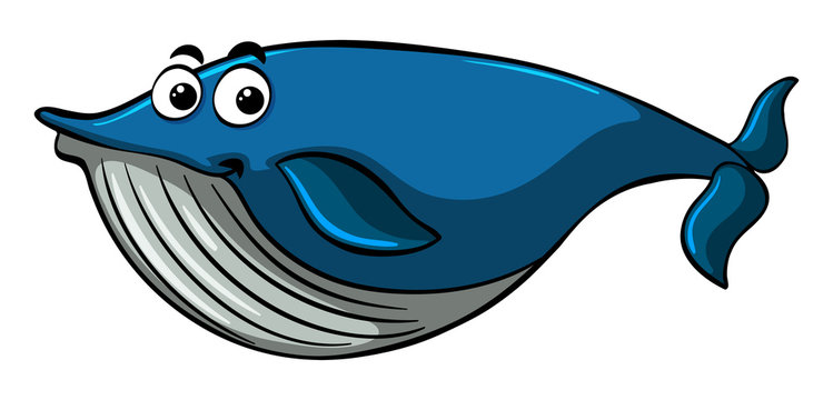 Blue whale with happy smile