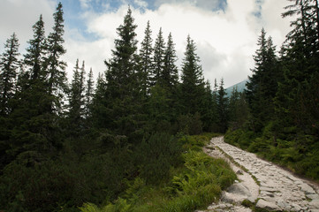 Tatry, Zakopane, Mountains, Poland