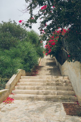 stairs at mallorca with pink flowers