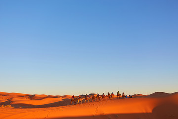 Fototapeta na wymiar Caravan going through the sand dunes in the Sahara Desert
