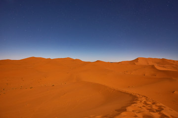 Fototapeta na wymiar Night in the desert
