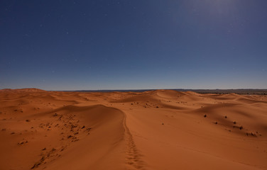 Fototapeta na wymiar Night in the desert