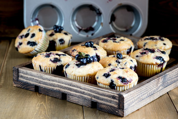 Muffin cupcakes with blueberries on a wooden tray Cupcakes decorated with berries Horizontal photo