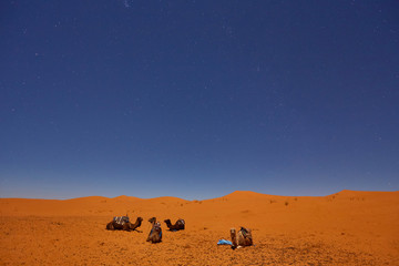Camp in Sahara Desert in night with moon as star
