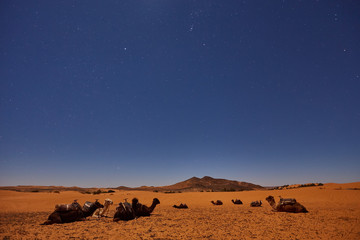 Fototapeta na wymiar Camp in Sahara Desert in night with moon as star