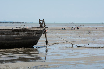 An abandon shipwreck during the period of low tide
