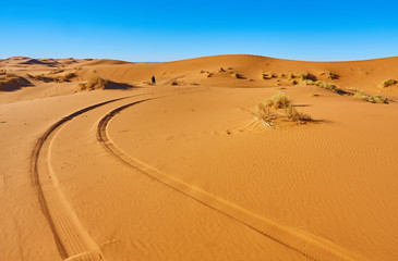 Fototapeta na wymiar Beautiful sand dunes in the Sahara