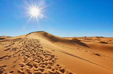 Beautiful sand dunes in the Sahara