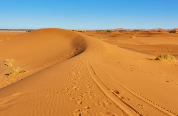 Fototapeta na wymiar Sand dunes in the Sahara Desert, Morocco