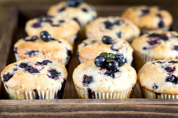 Muffin cupcakes with blueberries on a wooden tray Cupcakes decorated with berries Horizontal photo