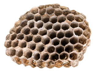 Honeycombs