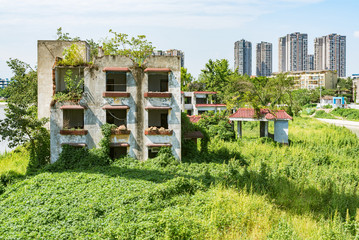 Ruins of a building in vegetation , Chengdu, China
