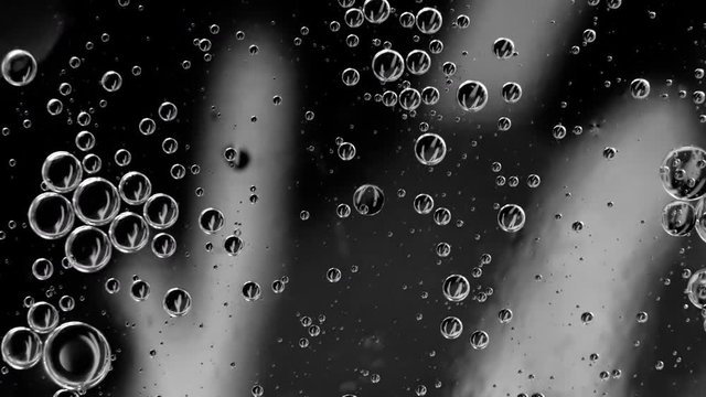 Abstract black and white background with oil drops on water.