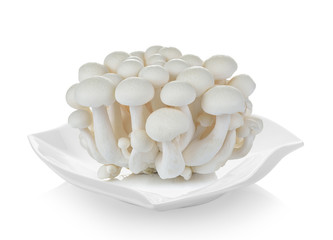 White beech mushrooms, Shimeji mushroom, Edible mushroom in plate on white background