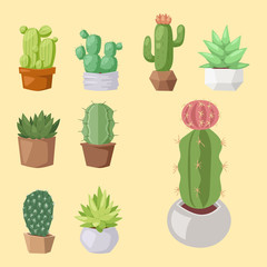 Cactus nature desert flower green mexican succulent tropical plant cacti floral vector illustration.