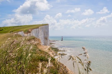 Seven Sisters National Park, view of the white cliffs and beech , East Sussex, England