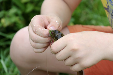 LIttle fish in the boy's hand