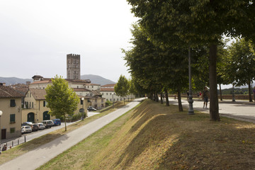 Fototapeta na wymiar LUCCA, ITALY - AUGUSt 15 2015: Pedestrian path surrounding Lucca fortified walls boudaries