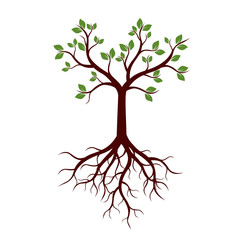 Fototapeta premium Summer Tree. Vector Illustration.