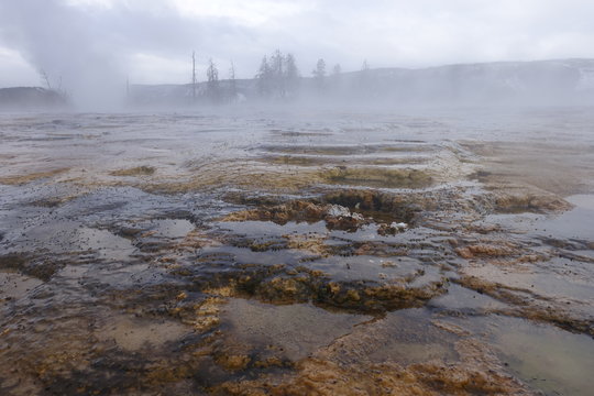 Yellowstone National Park - Hot Water Basins