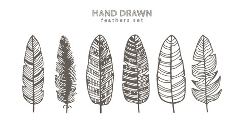 Set of decorative animals feathers. Ink illustration. Isolated on white background. Hand drawn vector art