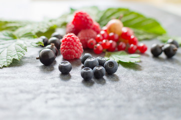Still life of wild berries blueberries, raspberries, gooseberries, red currant