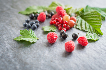 Still life of wild berries blueberries, raspberries, gooseberries, red currant