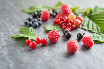 Still life of wild berries blueberries, raspberries, gooseberries, red currant