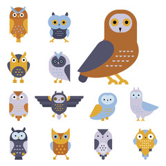 Cartoon owl bird cute character symbol sleep sweet owlet vector illustration.
