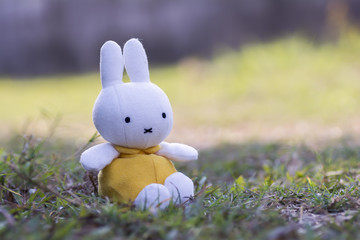 Rabbit Doll Sitting on the grass.