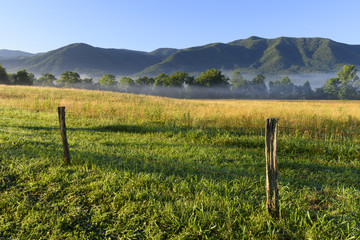 Foggy Field and Mountains at Sunrise
