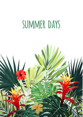 Fototapeta premium Floral vertical postcard design with guzmania and hibiscus flowers, monstera and royal palm leaves. Exotic hawaiian vector background.