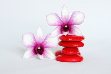 galets rouge disposés en mode de vie zen avec une orchidée bicolore sur le coté gauche et une sur les galets sur fond blanc